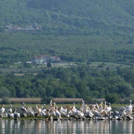 Villa Belles Akritochori  Bagian luar foto