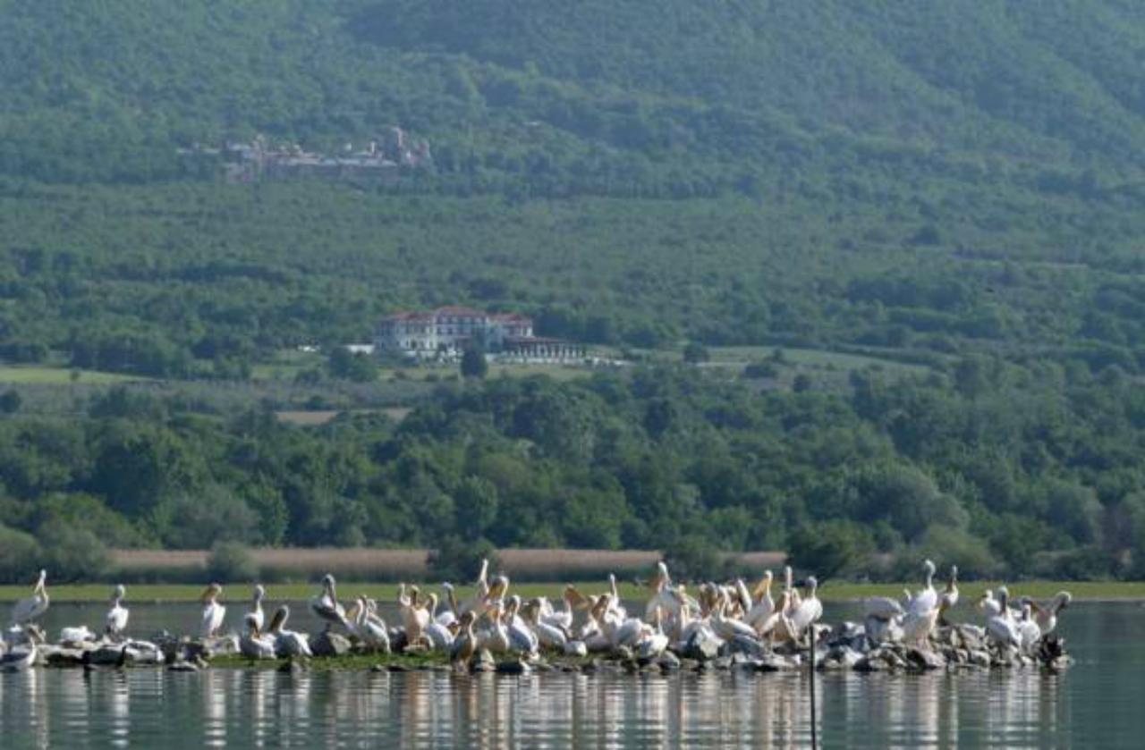 Villa Belles Akritochori  Bagian luar foto